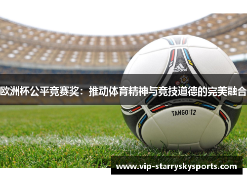 欧洲杯公平竞赛奖：推动体育精神与竞技道德的完美融合