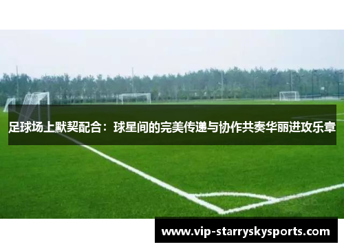 足球场上默契配合：球星间的完美传递与协作共奏华丽进攻乐章