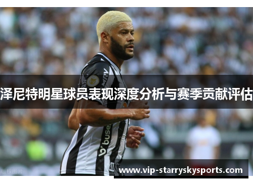 泽尼特明星球员表现深度分析与赛季贡献评估