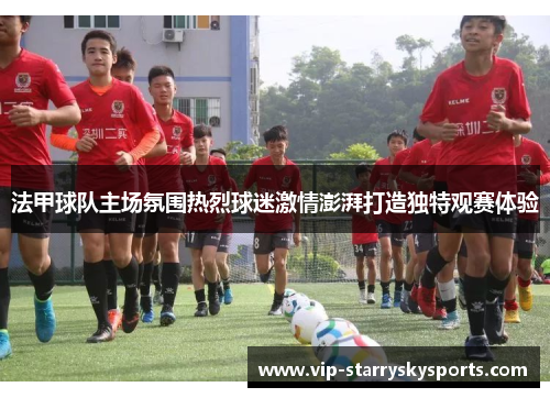 法甲球队主场氛围热烈球迷激情澎湃打造独特观赛体验