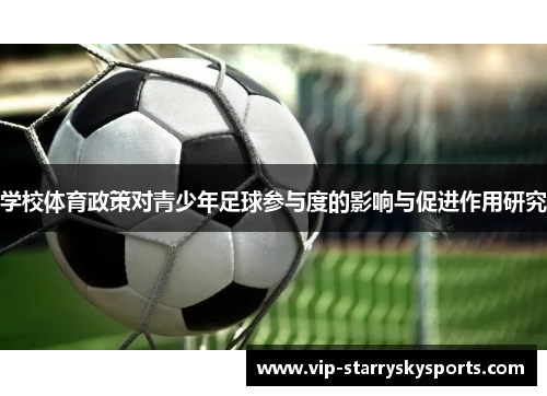 学校体育政策对青少年足球参与度的影响与促进作用研究