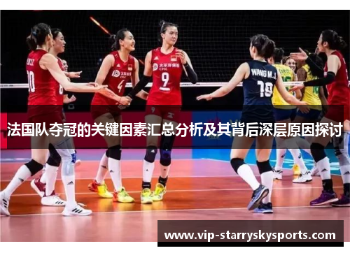 法国队夺冠的关键因素汇总分析及其背后深层原因探讨