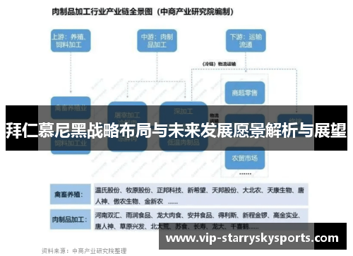 拜仁慕尼黑战略布局与未来发展愿景解析与展望