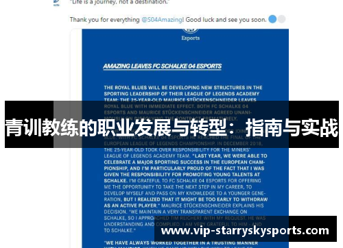 青训教练的职业发展与转型：指南与实战