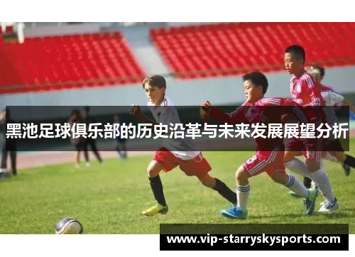 黑池足球俱乐部的历史沿革与未来发展展望分析