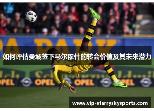 如何评估曼城签下马尔穆什的转会价值及其未来潜力