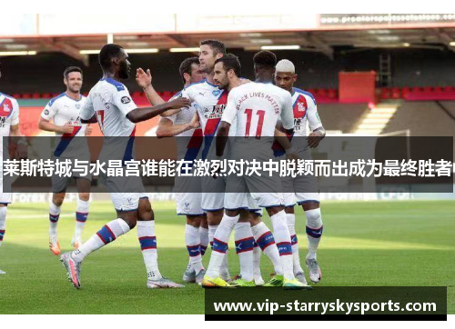 莱斯特城与水晶宫谁能在激烈对决中脱颖而出成为最终胜者