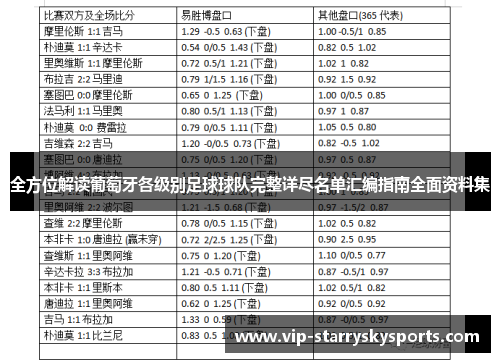 全方位解读葡萄牙各级别足球球队完整详尽名单汇编指南全面资料集