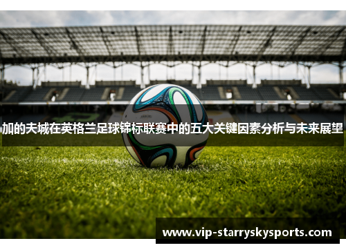 加的夫城在英格兰足球锦标联赛中的五大关键因素分析与未来展望