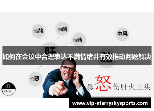如何在会议中合理表达不满情绪并有效推动问题解决
