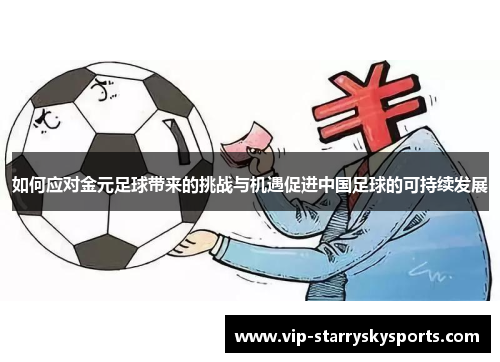 如何应对金元足球带来的挑战与机遇促进中国足球的可持续发展