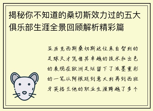 揭秘你不知道的桑切斯效力过的五大俱乐部生涯全景回顾解析精彩篇 揭秘你不知道的桑切斯效力过的五大俱乐部生涯全景回顾解析精彩篇